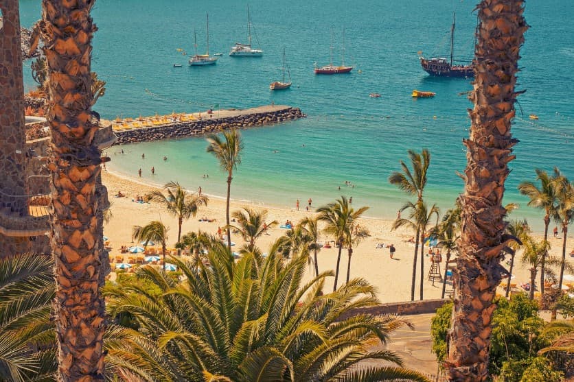 Задержка рейса. Можно ли вернуть деньги в туре — пляж с пальмами и море на курорте