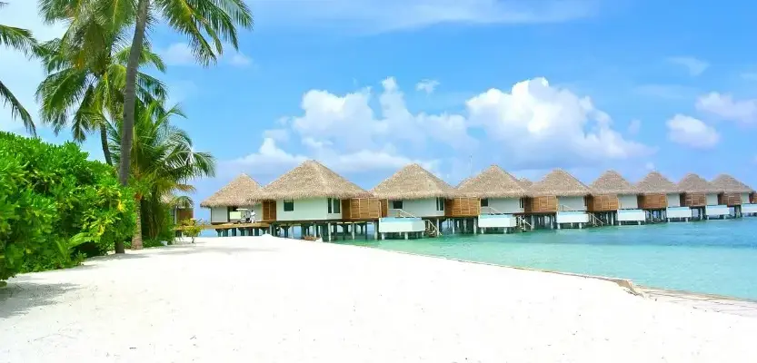 Где и как идеально провести медовый месяц: белоснежный пляж и бунгало на воде у тропического берега