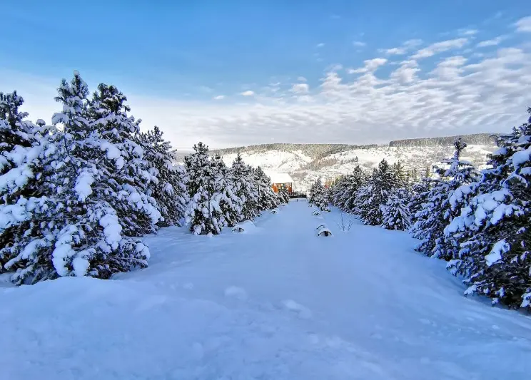 Отдых в России: лучшие курорты — заснеженная горнолыжная трасса среди хвойного леса и зимних гор